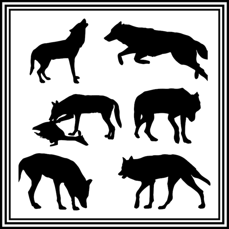 Vettore una grande collezione di loghi di silhouette di coyote isolati su sfondo bianco