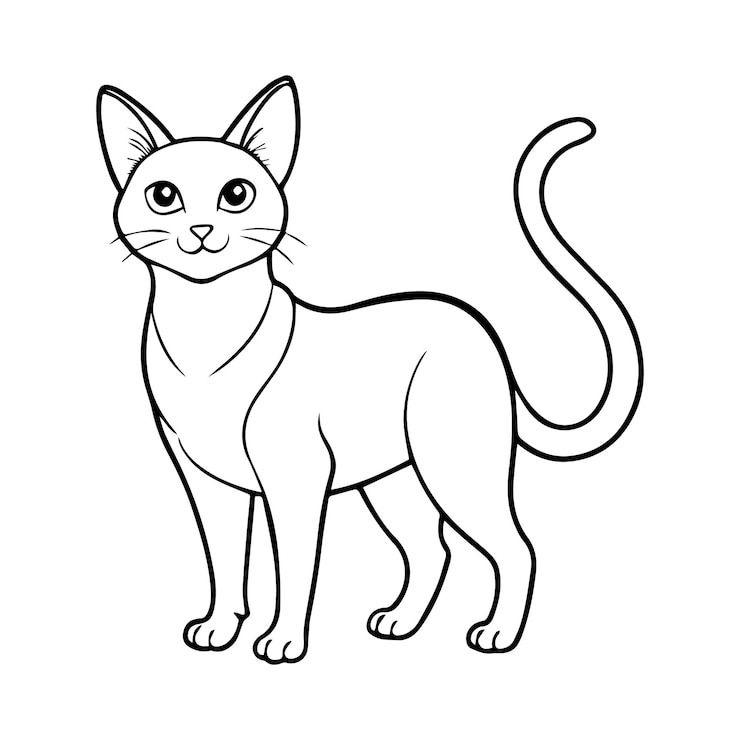 Vettore una graziosa illustrazione di un gatto su uno sfondo bianco