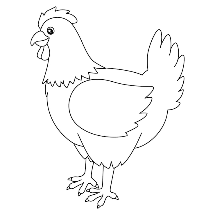 Vettore una pagina da colorare carina e divertente di un pollo. offre ore di divertimento da colorare per i bambini. da colorare, questa pagina è molto facile. adatto a bambini piccoli e bambini piccoli.