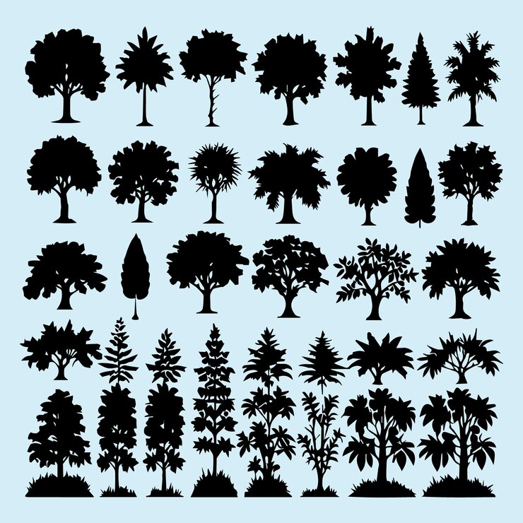 una raccolta di alberi di diverse forme e dimensioni
