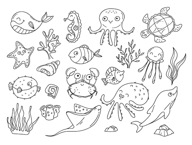 Una raccolta di disegni tra cui animali marini e una tartaruga.