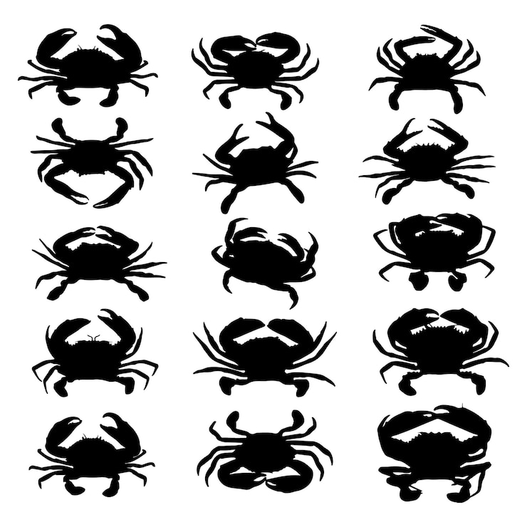 Vettore una raccolta di teste di granchio e aragoste silhouette di granchio illustrazione vettoriale di granchio