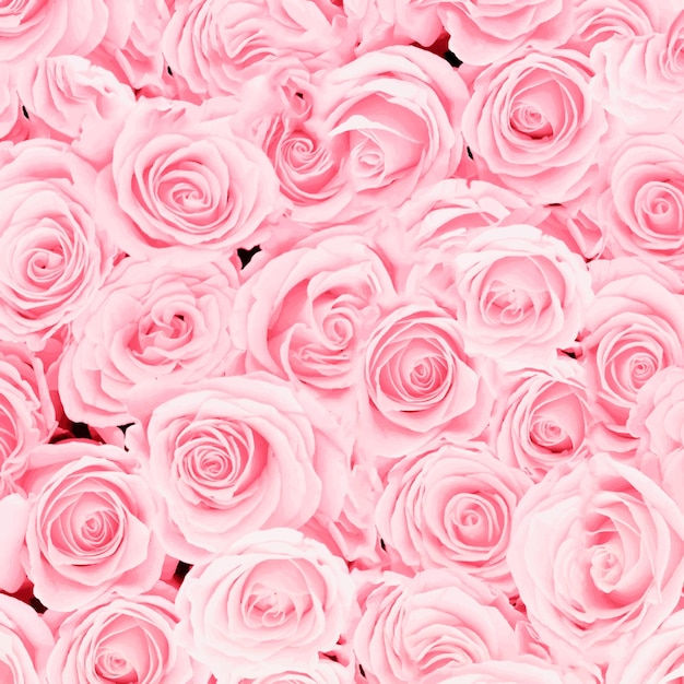 una rosa rosa con uno sfondo bianco e un fiore rosa al centro