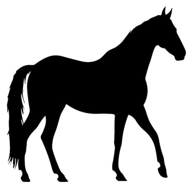 Una sagoma di un cavallo è mostrata in bianco e nero.