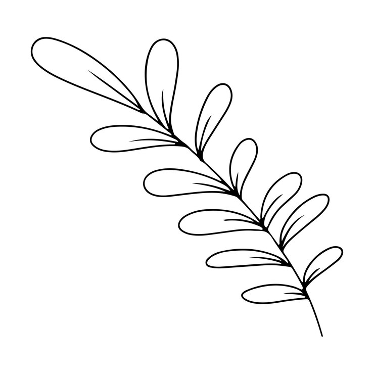 Vettore una semplice foglia di una pianta estiva illustrazione vettoriale isolata su uno sfondo bianco