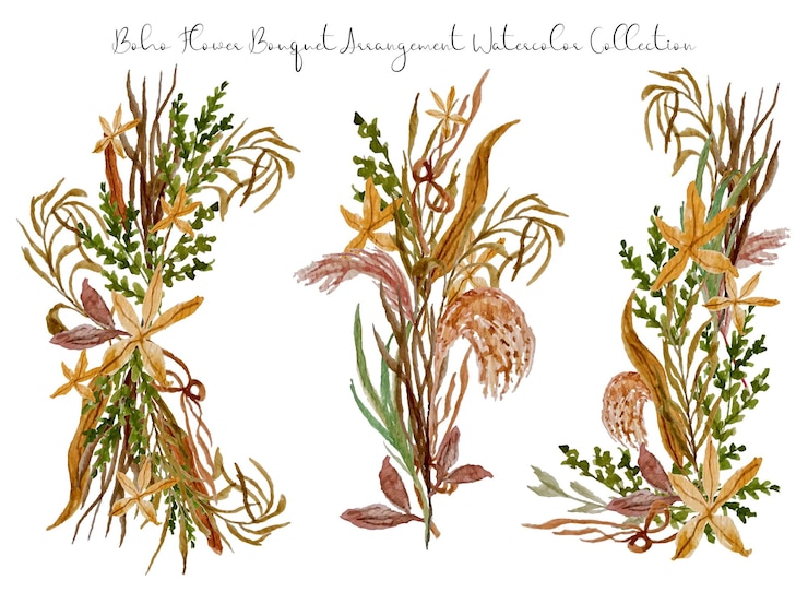 Vettore una serie di bellissimi fiori secchi dipinti a mano e composizioni di foglie acquerelli