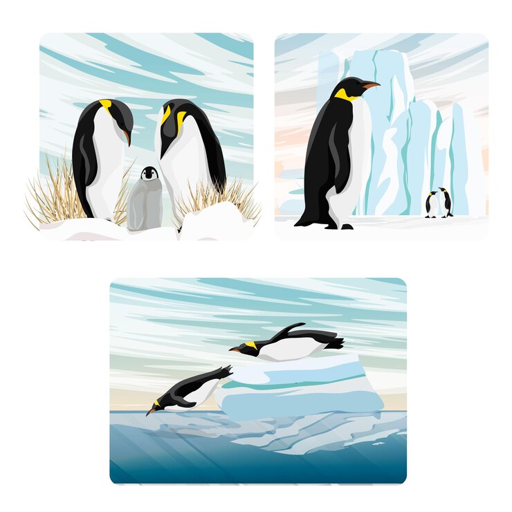 Vettore una serie di composizioni vettoriali con pinguini imperatori realistici nel nord