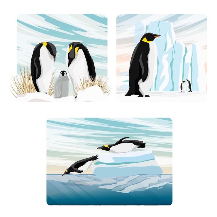 Vettore una serie di composizioni vettoriali con pinguini imperatori realistici nel nord