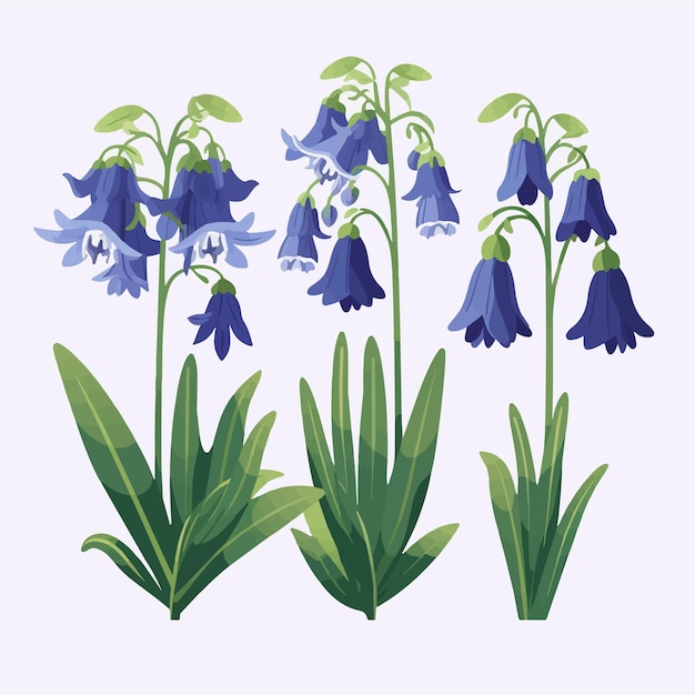 Una serie di illustrazioni vettoriali di fiori di campanula per aggiungere un tocco di fascino ai tuoi disegni