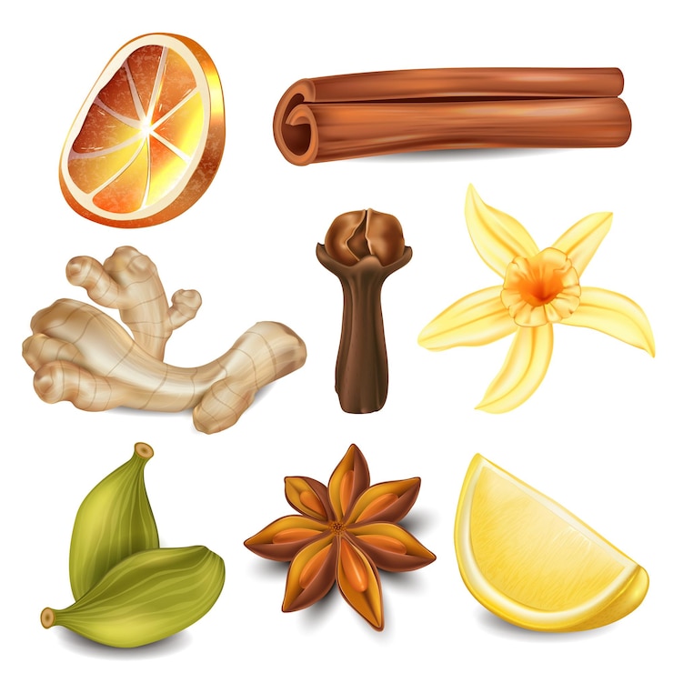 Vettore una serie di rimedi naturali e ingredienti per il tè.