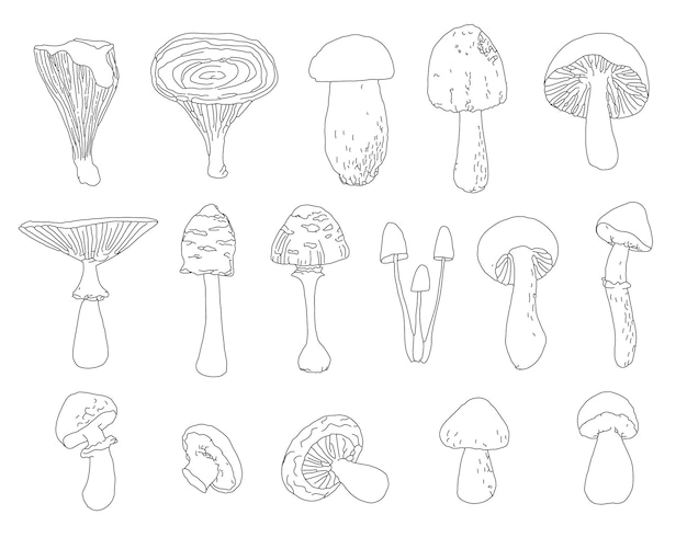Una serie di schizzi lineari scarabocchi di funghi della foresta