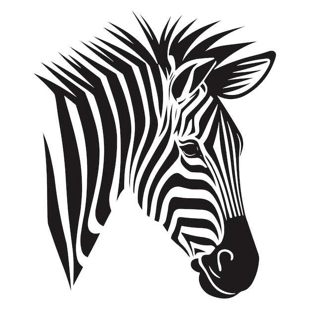 Una testa di zebra è mostrata su uno sfondo bianco.