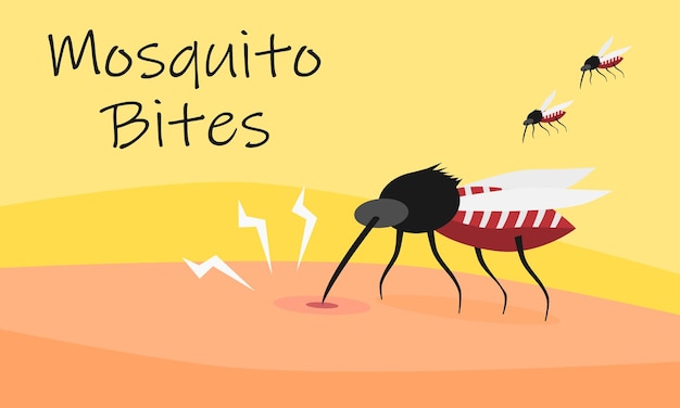 Una zanzara morde la pelle umana Concept dell'epidemia di febbre dengue o malaria