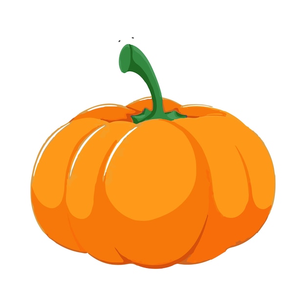 una zucca arancione con un gambo verde