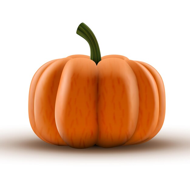 Una zucca arancione trasparente isolata sullo sfondo