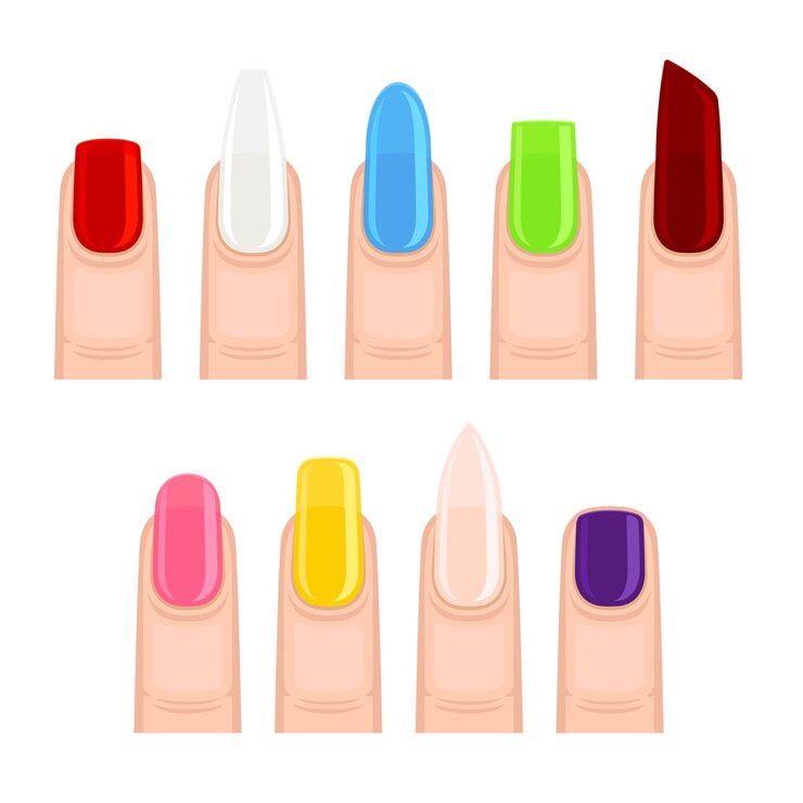 Vettore unghie dopo la manicure di diverse forme e colori. illustrazione su sfondo bianco.