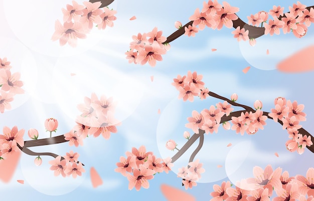 uno sfondo a fiori di ciliegio rosa con le parole ciliegio in fiore