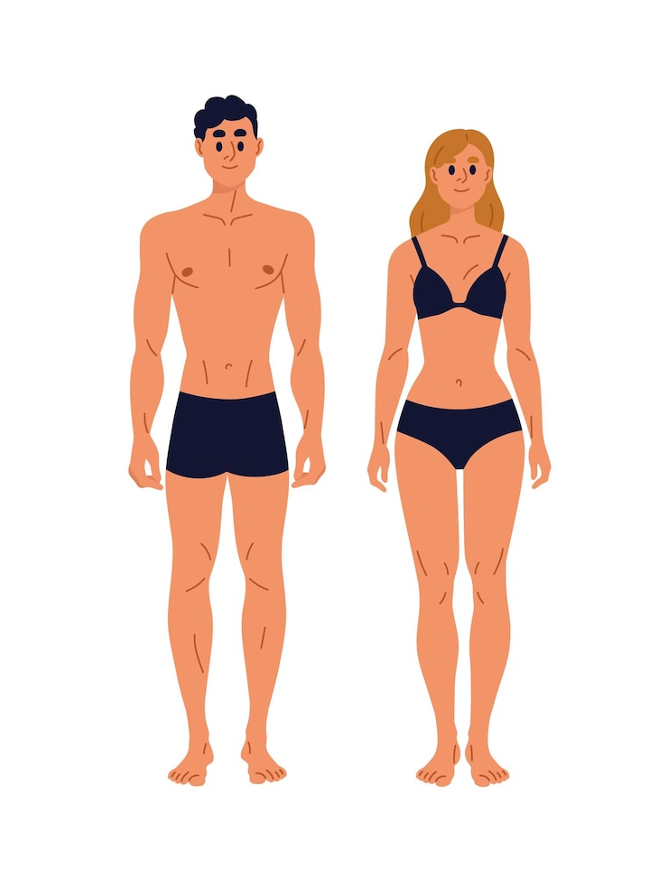 Vettore uomo e donna con corpi magri sani, in piedi in biancheria intima. vista frontale di uomini e donne con una figura sportiva snella in costume da bagno. illustrazione vettoriale piatta isolata su sfondo bianco
