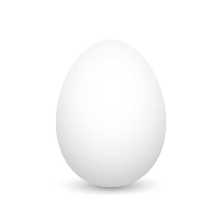 Uovo bianco. illustrazione.