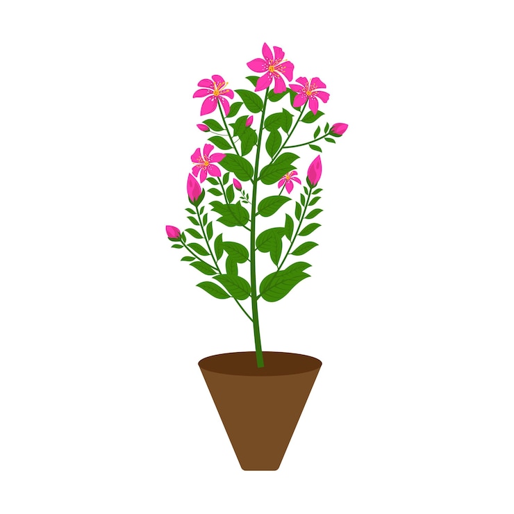 Vettore varie piante d'appartamento in vaso. piante in vaso da giardino. piante in vaso di vettore. flowerpot fiorisce il vettore floreale del fiore nell'illustrazione
