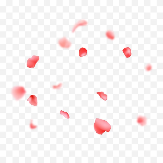 Vector caduta petali di rosa sfondo disegno vettoriale illustrazione 3d