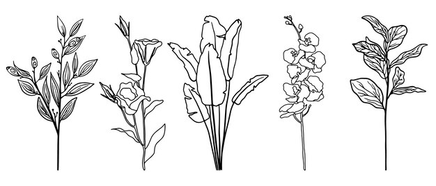 Vector Doodle set di foglie e fiori esotici disegnati in una linea Set di palme a linea singola