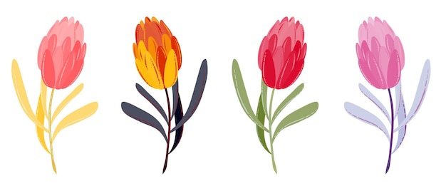 Vector fiori primaverili o estivi Set di tulipani piatti