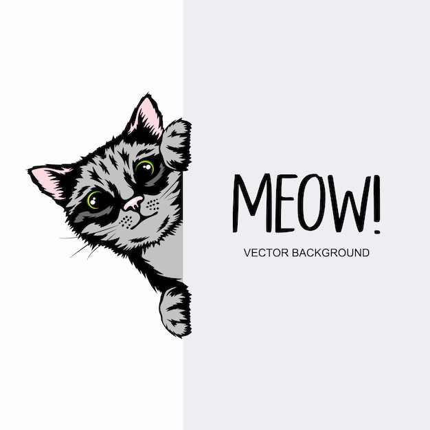 Vector Hand Drawm Striped Hiding Peeking Kitten Tabby Kitten Head with Paws Up Peeking Over Blank White Poster Card Banner Pet Kitten Curiosamente Peeking Behind White Background