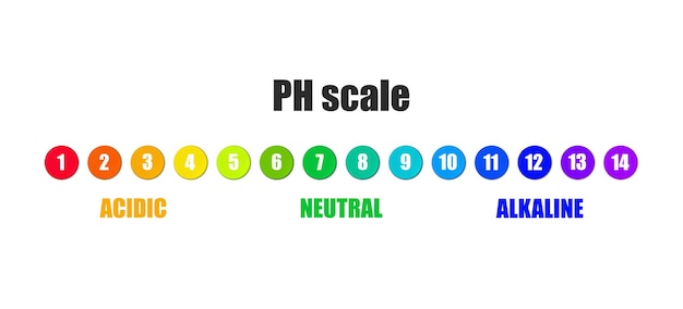 Vector PH Scale Graphic Illustrazione colorata Modello Infographic Design Element isolato