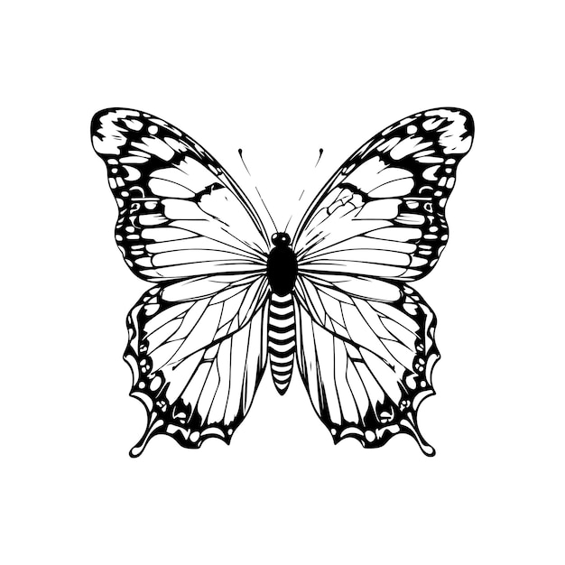 Vector un vettore di farfalla cartoon nella colorazione in bianco e nero