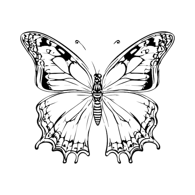 Vector un vettore di farfalla cartoon nella colorazione in bianco e nero