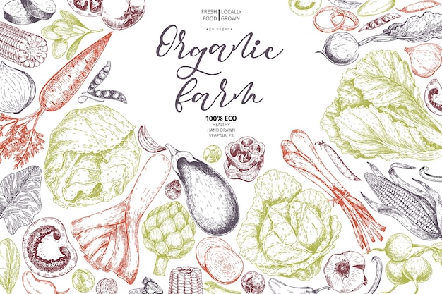 Verdure di fattoria disegnata a mano di vettore