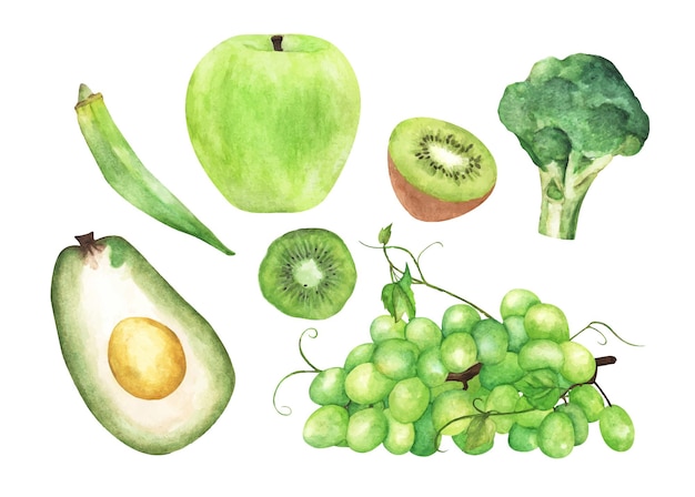 Verdure verdi e set di frutta Illustrazione ad acquerello