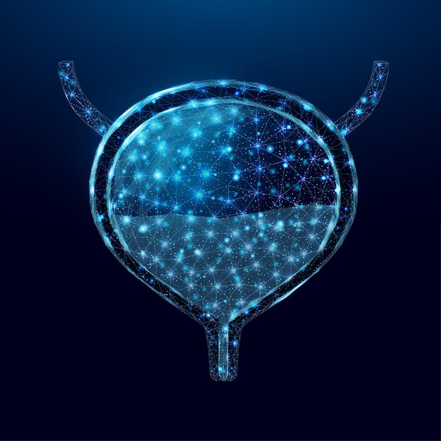 Vescica umana Elemento di design per il concetto medico cancro alla vescica cistite sistema escretore umano Wireframe low poly style Illustrazione vettoriale astratta su sfondo blu scuro
