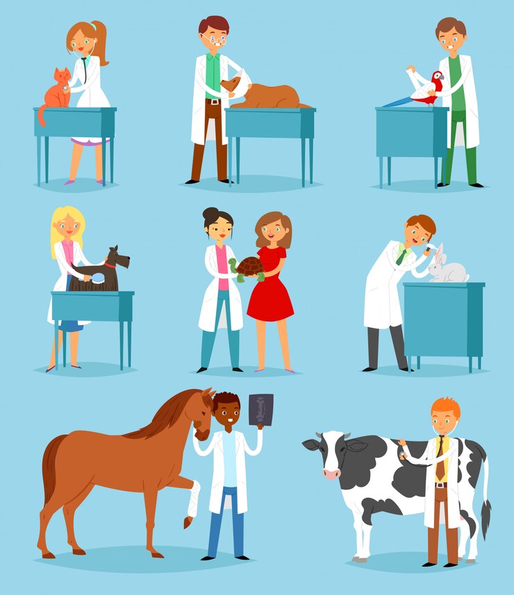 Vettore veterinario veterinario medico uomo o donna trattando pazienti animali domestici gatto o cane illustrazione set di veterinario persone con caratteri animaleschi in veterinario sullo sfondo