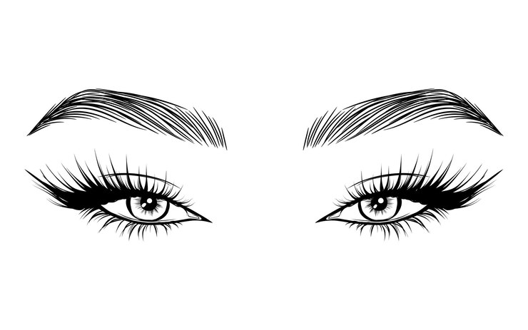 Vettore Bellissimi occhi femminili con lunghe ciglia nere e sopracciglia da vicino Makeup bellezza Donna ciglia