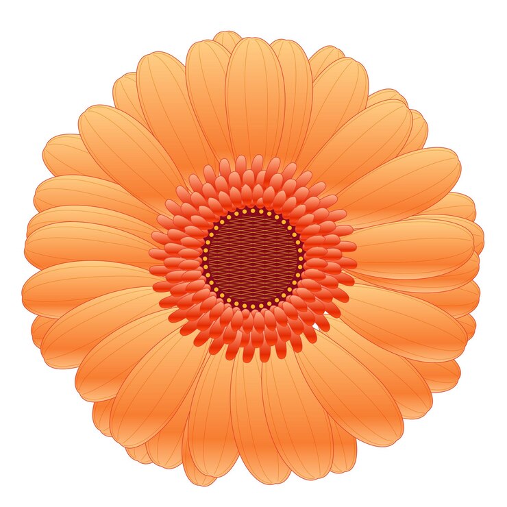 Vettore vettore botanico fiori ad acquerello bouquet elegante cornice d'arte botanica isolata
