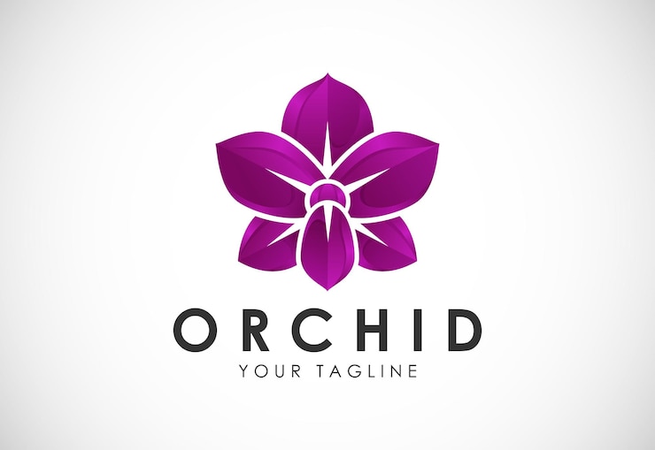 Vettore del modello di progettazione di logo del fiore variopinto dell'orchidea