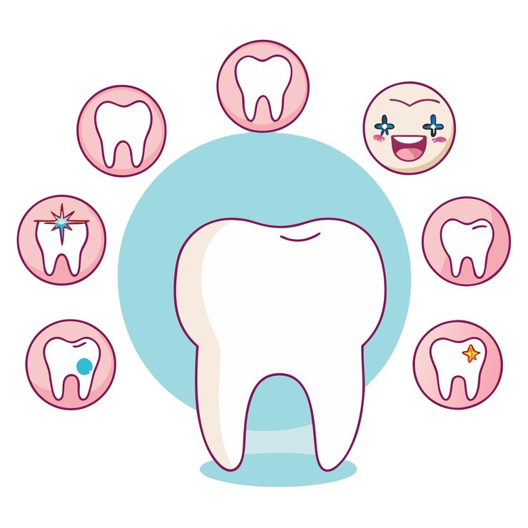 Vettore vettore del trattamento dei denti all'assistenza sanitaria odontoiatrica