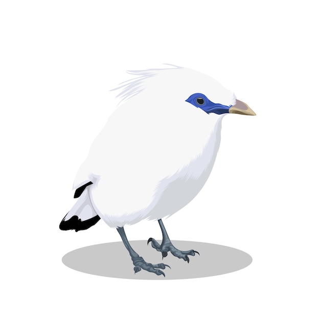 Vettore dell'uccello di Bali Mynah