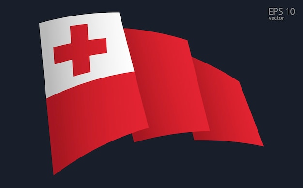 Vettore della bandiera delle Tonga Simbolo della bandiera nazionale Elemento di progettazione della bandiera