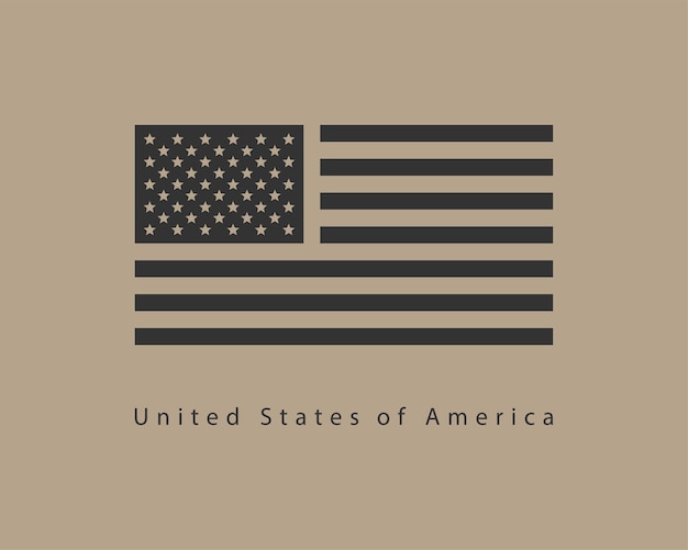 Vettore di bandiera USA. Simbolo degli Stati Uniti d'America in stile moderno. Elemento di design banner americano.