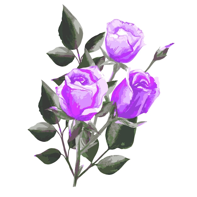 Vettore di bouquet di fiori di rosa
