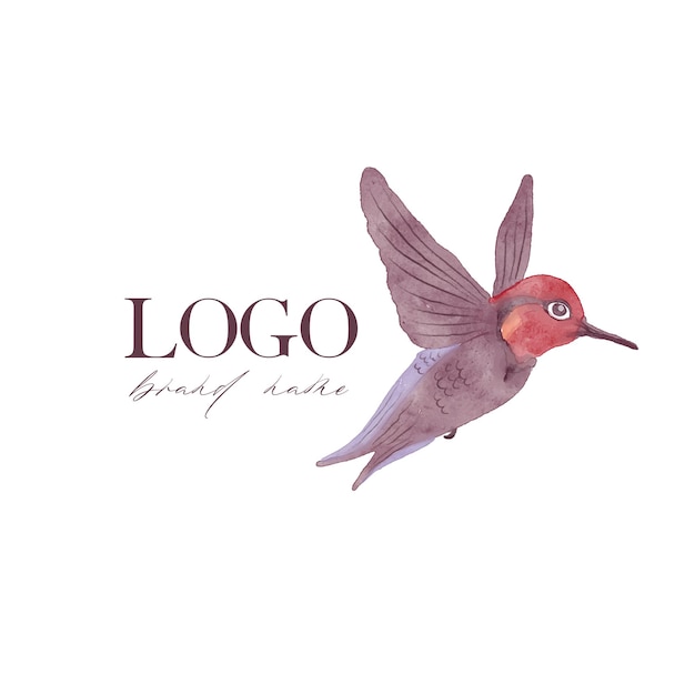 Vettore di Colibri ad acquerello su sfondo bianco Clipart di fauna esotica per biglietto di auguri con logo e design