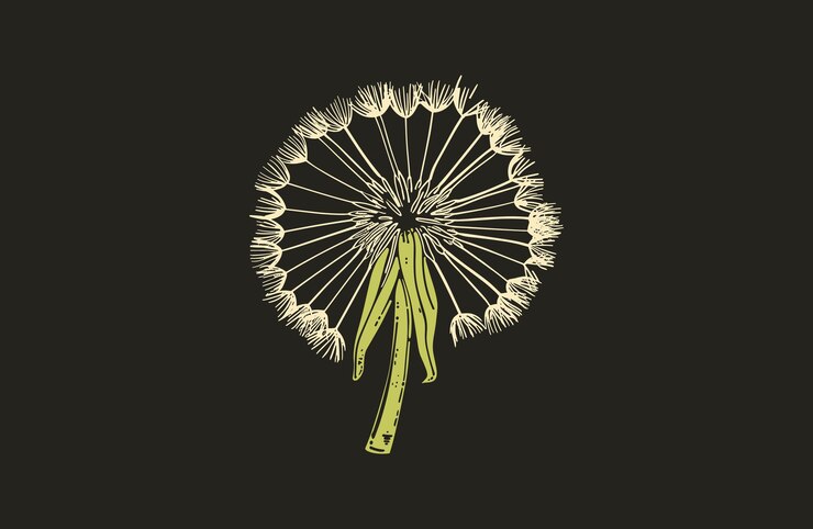 Vettore vettore di design vintage del fiore di dente di leone