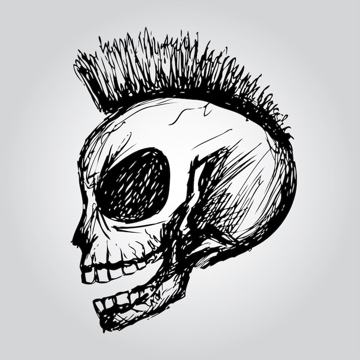 Vettore vettore di disegno a mano del cranio