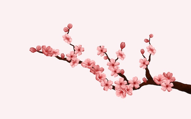 vettore di fiori di ciliegio dell'acquerello. ramo di fiori di ciliegio con fiore di sakura