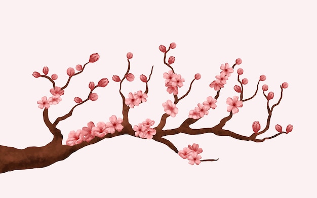 vettore di fiori di ciliegio dell'acquerello. ramo di fiori di ciliegio con fiore di sakura