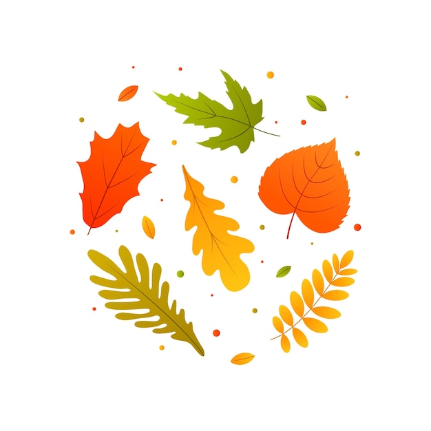 Vettore di foglie d'autunno impostato su sfondo bianco