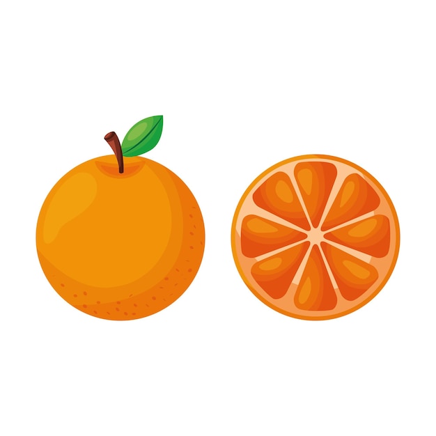 Vettore di frutta arancione